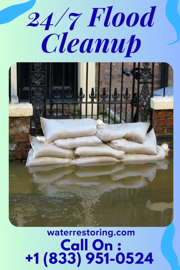 24/7 Flood Cleanup in University Center, VA