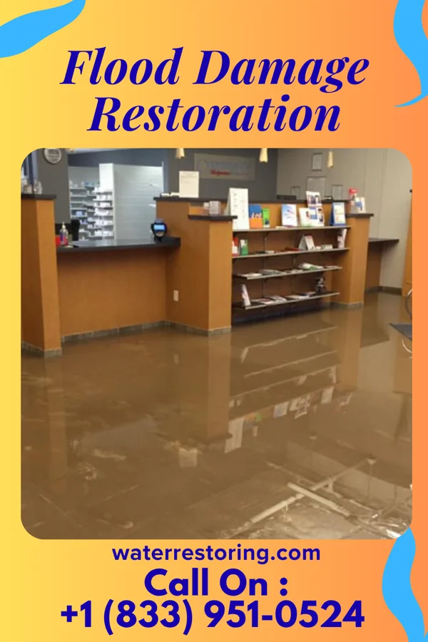 Flood Damage Restoration in University Center, VA