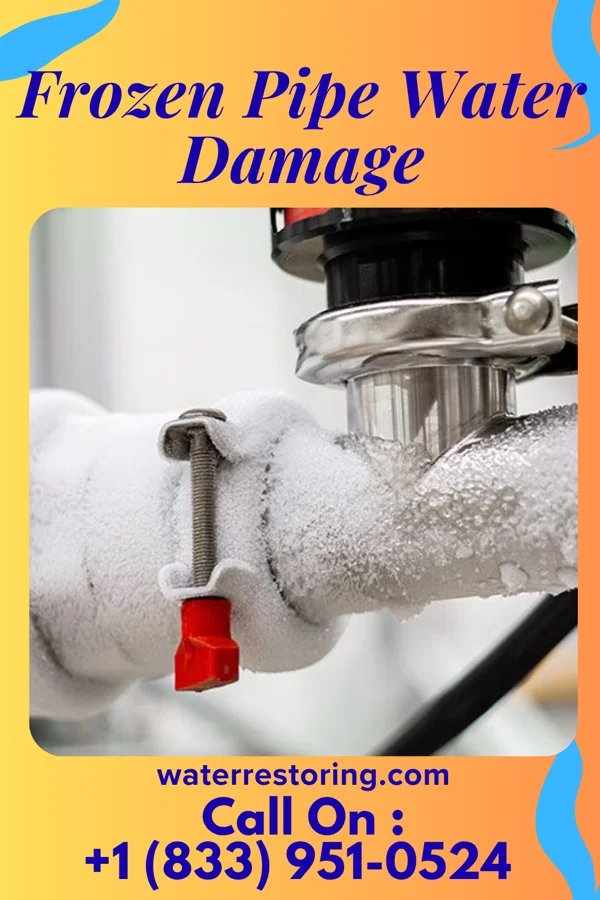 Frozen Pipe Water Damage in University Center, VA