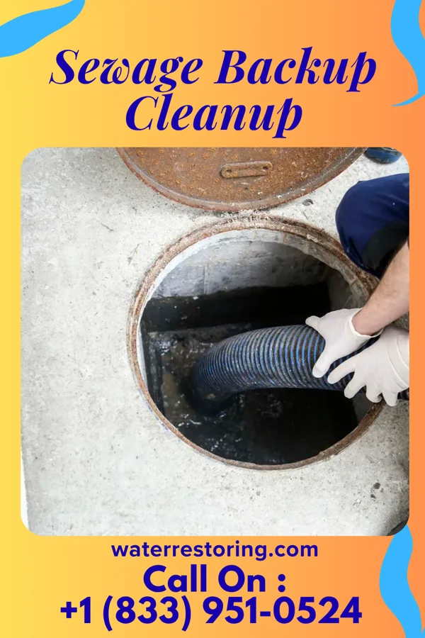 Sewage Backup Cleanup in University Center, VA