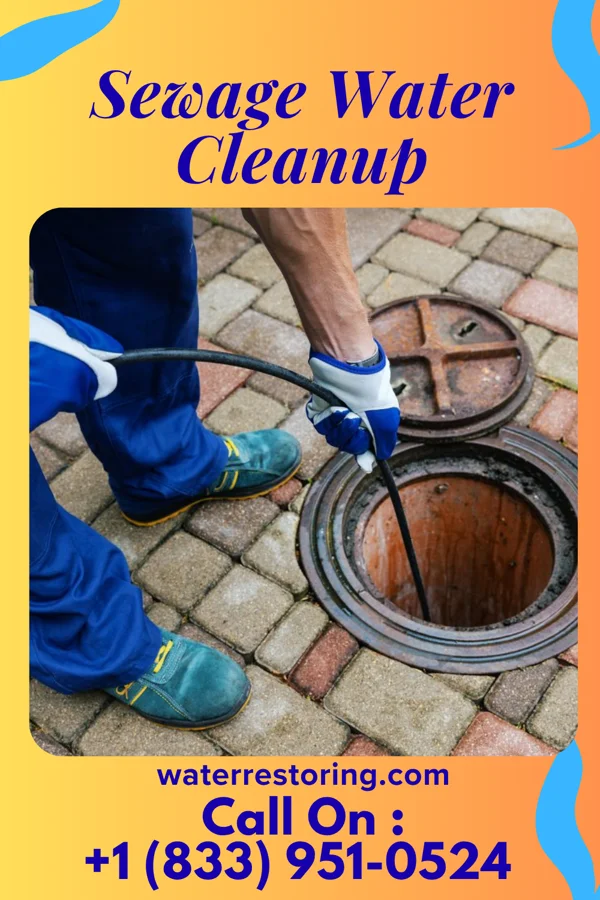 Sewage Water Cleanup in University Center, VA